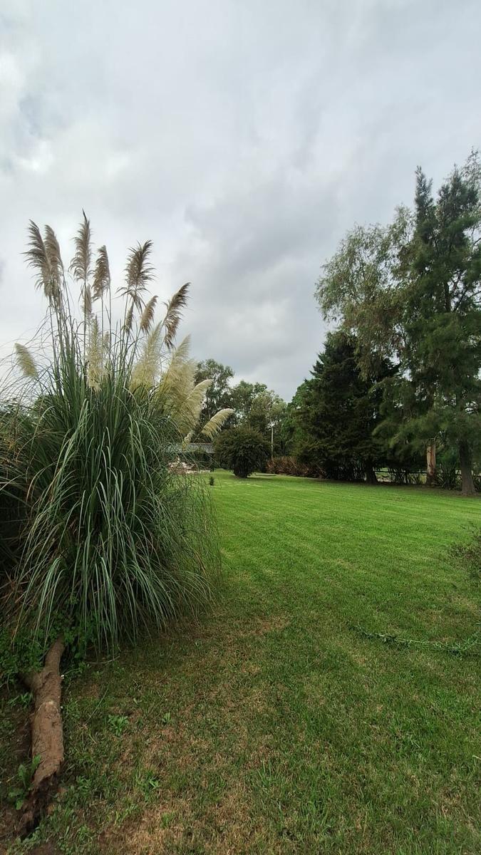 image 49
