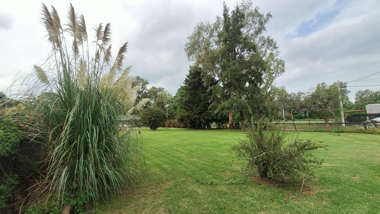 image 50