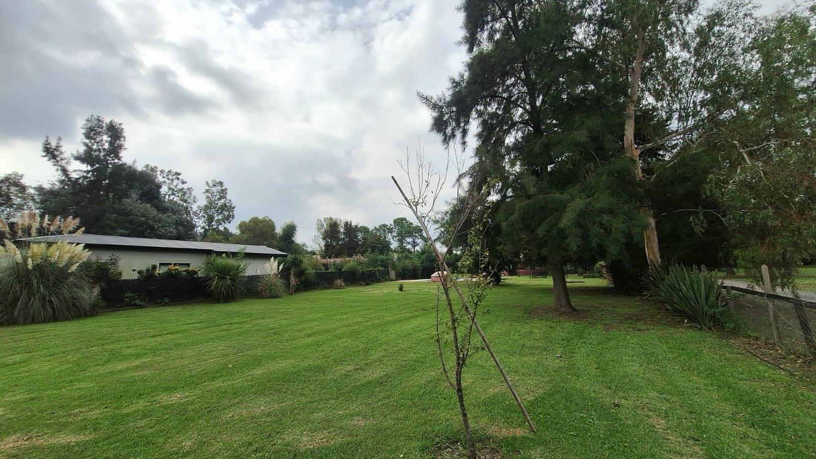 image 51