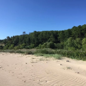 Chacra - paraje Arazatí
