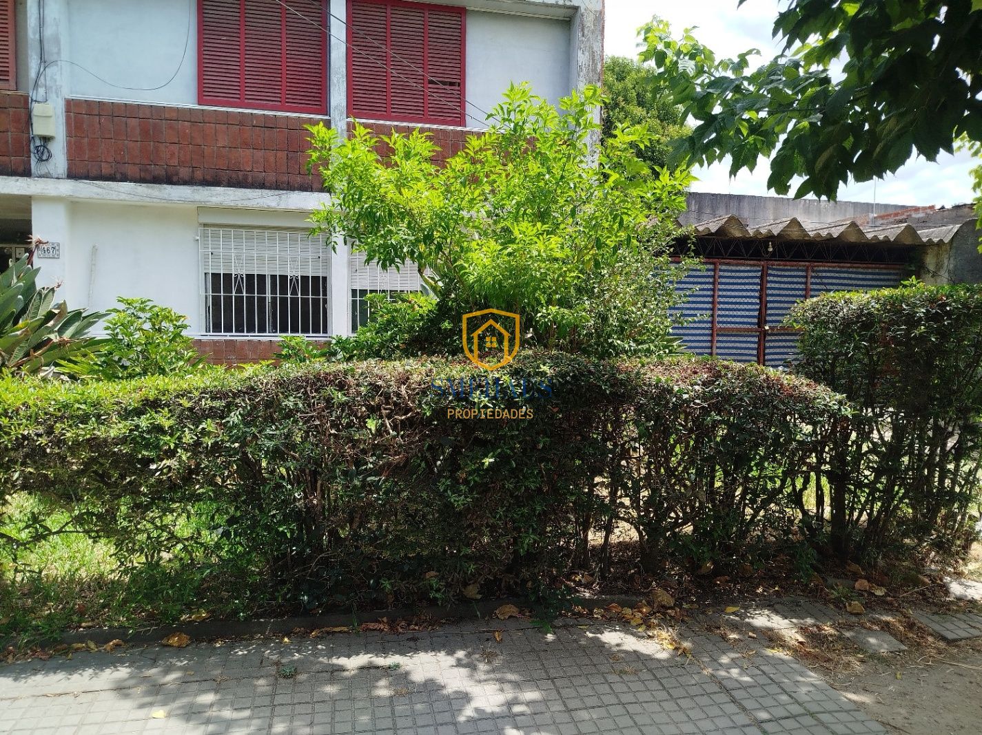 image 14
