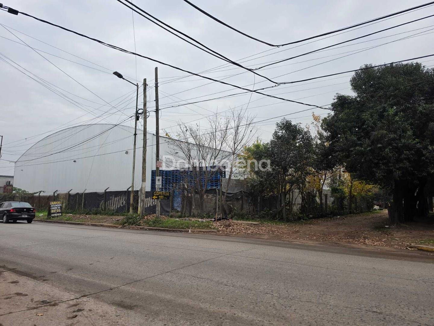 image 19