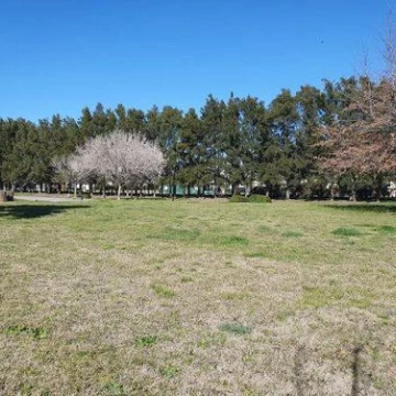 LOTE 1068 METROS EN VENTA BARRIO EL CAMPO CARDALES