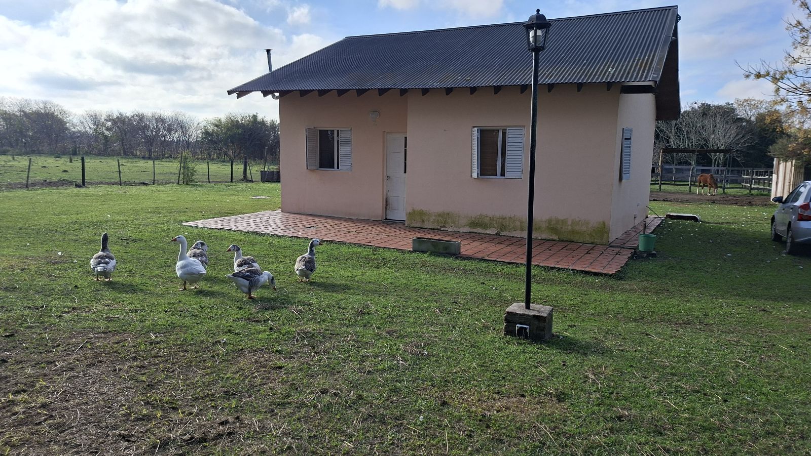 image 25