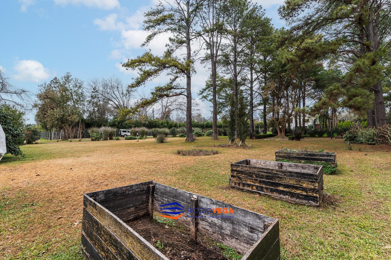 image 85