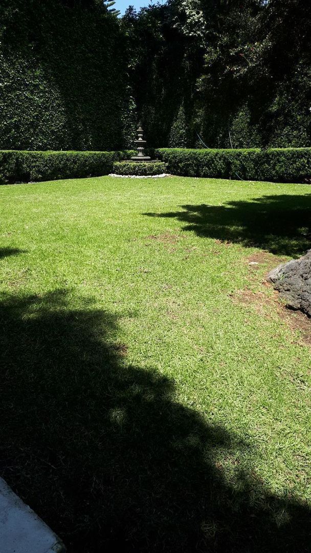image 41