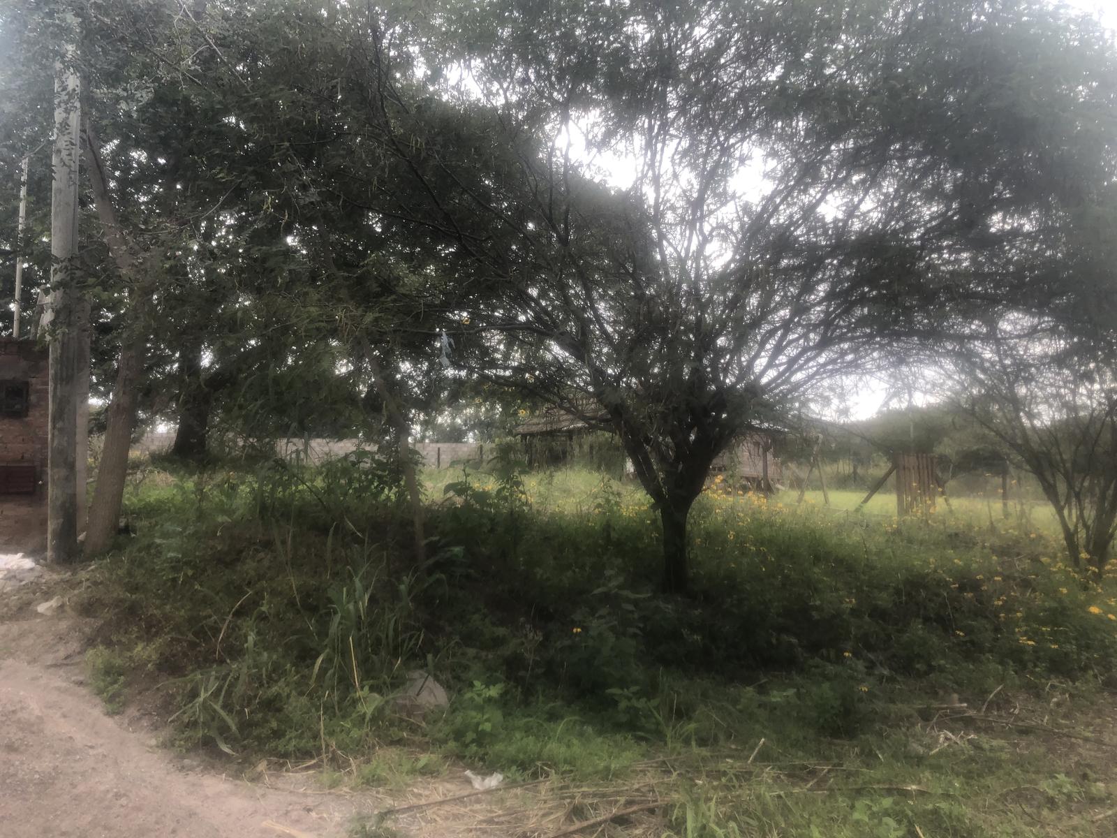 image 14
