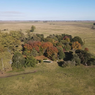 Campo en venta de 110 has en Mercedes
