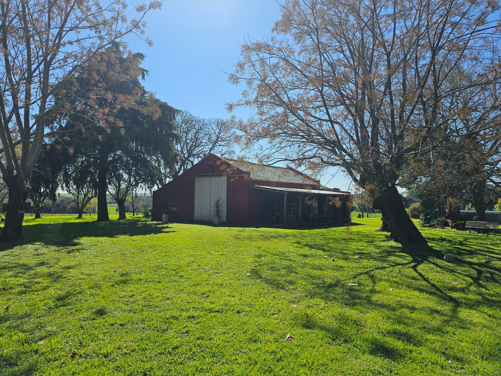 image 18
