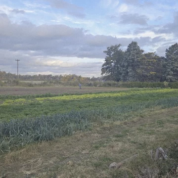 Campo 38 hectáreas sobre Ruta 9