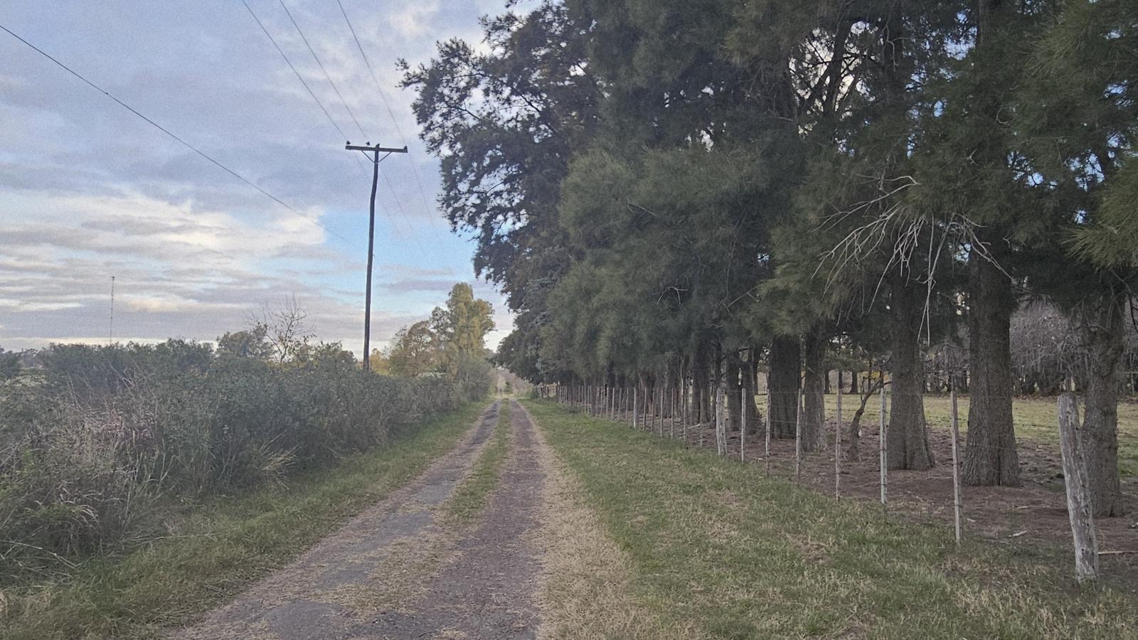 Campo 38 hectáreas sobre Ruta 9 - 2