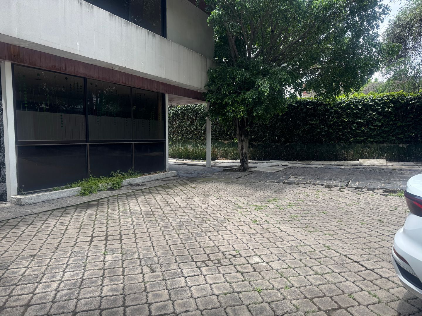 IMG_2624.jpeg