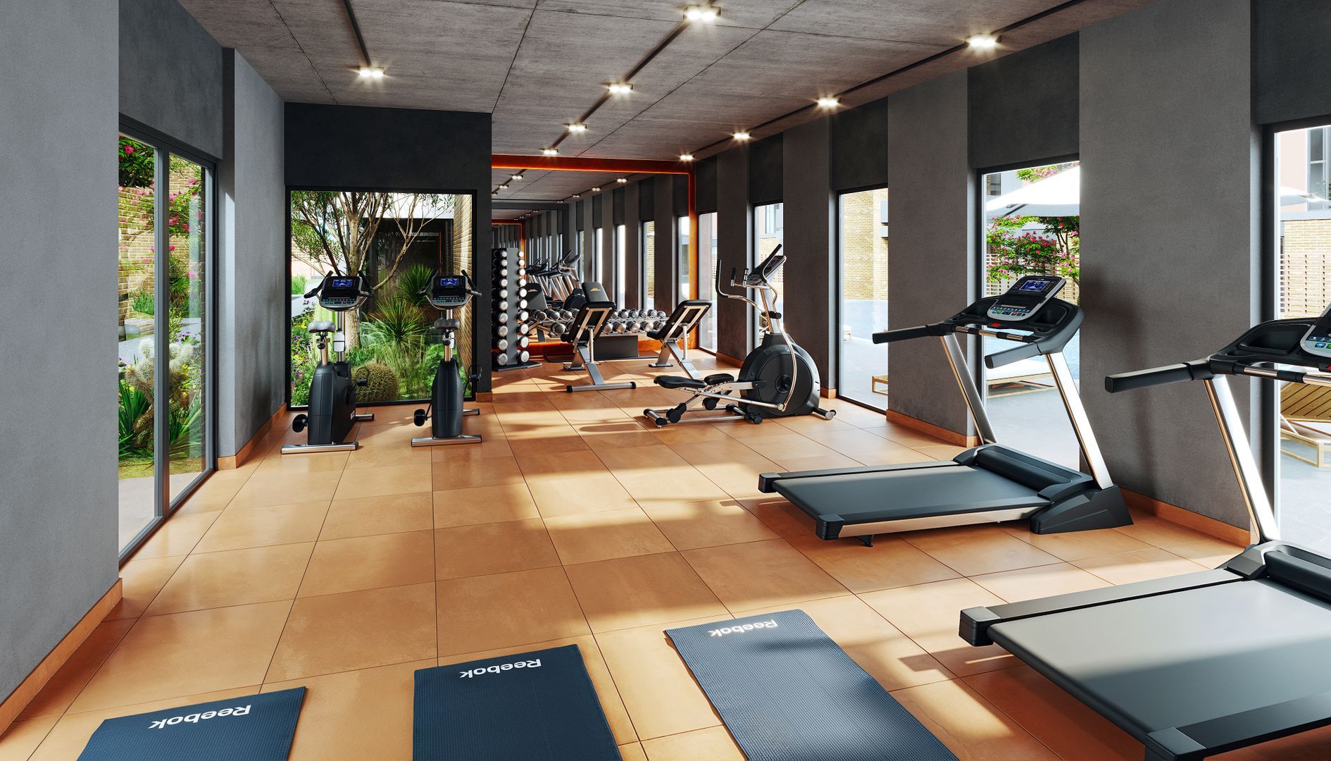 5-Gym.jpg