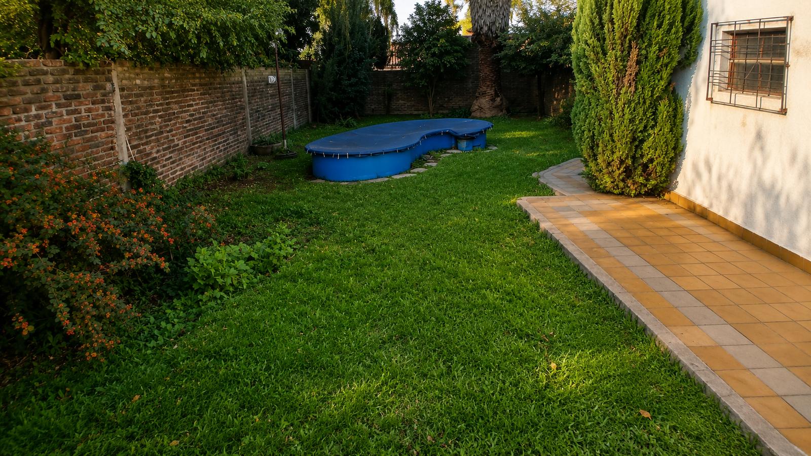 image 29
