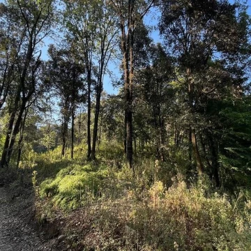 Terreno Residencial en venta en San Simón el Alto