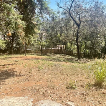 Terreno en venta Cerro Gordo