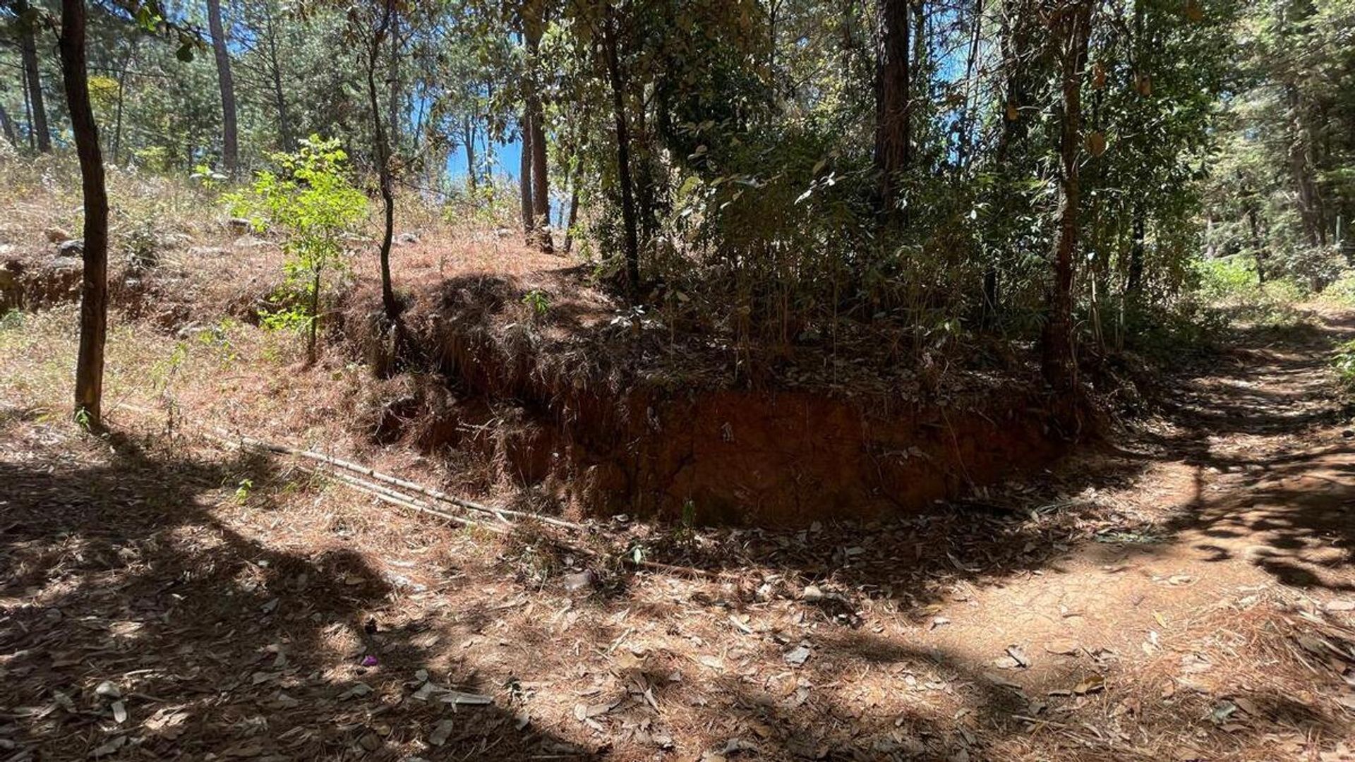 image 14