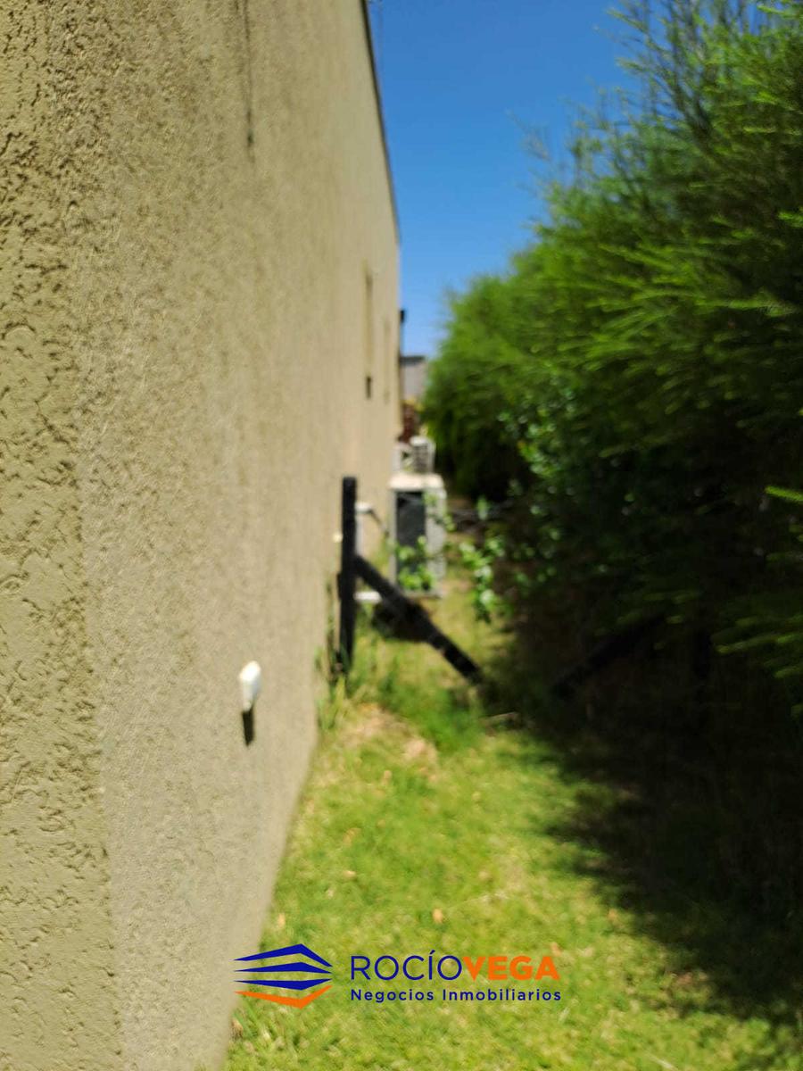 image 29