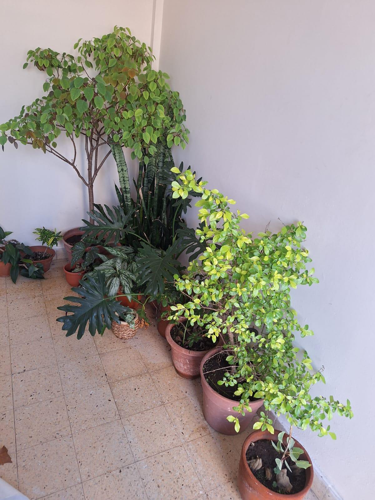image 17