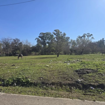 VENTA - LOTES - LA LONJA - PILAR