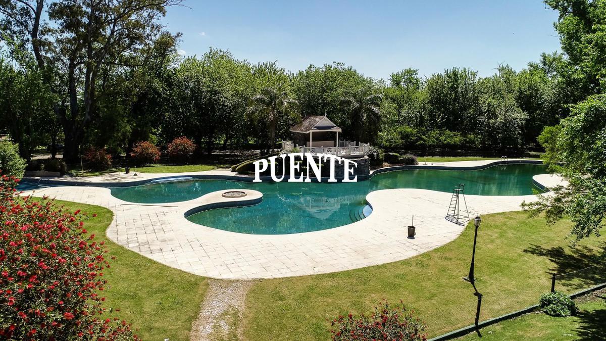 Pileta estilo resort