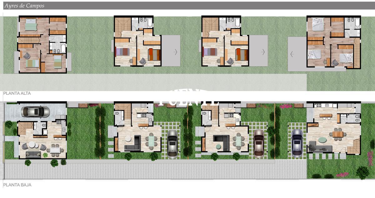 Planta General