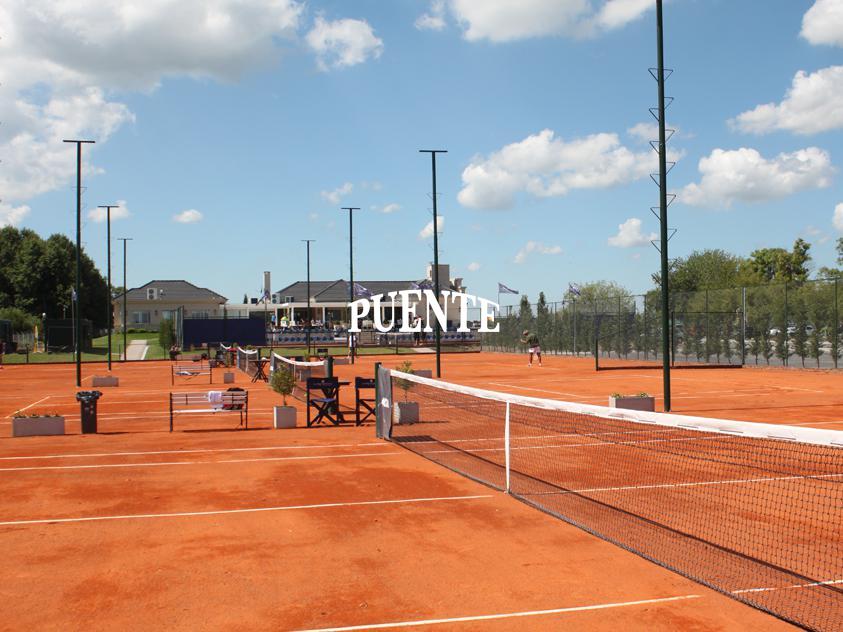 Tenis