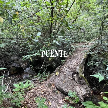 Terreno en Villa La Angostura