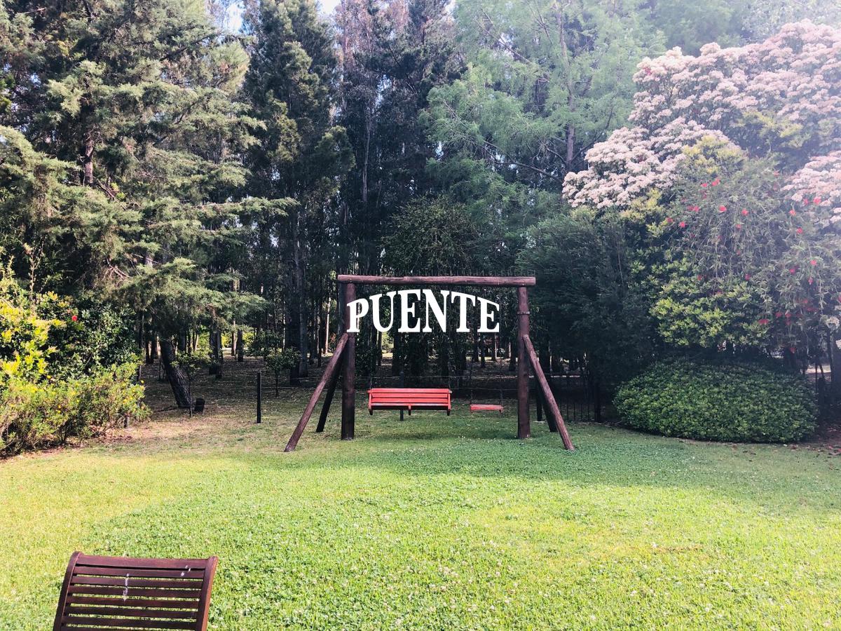 image 30