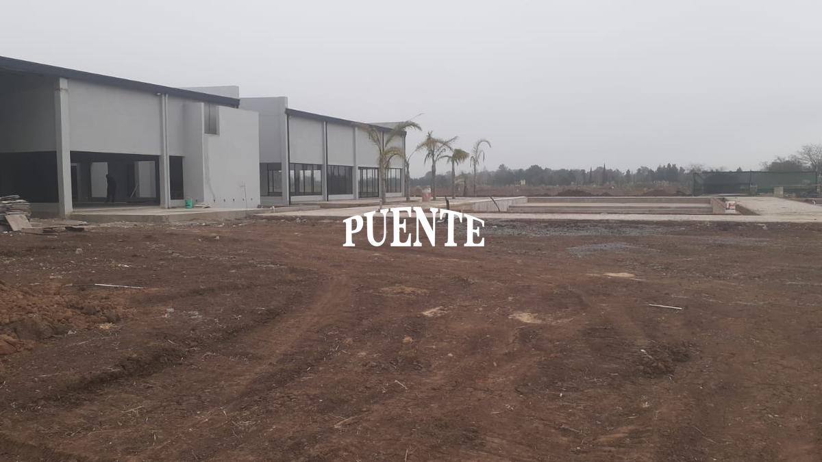 image 50