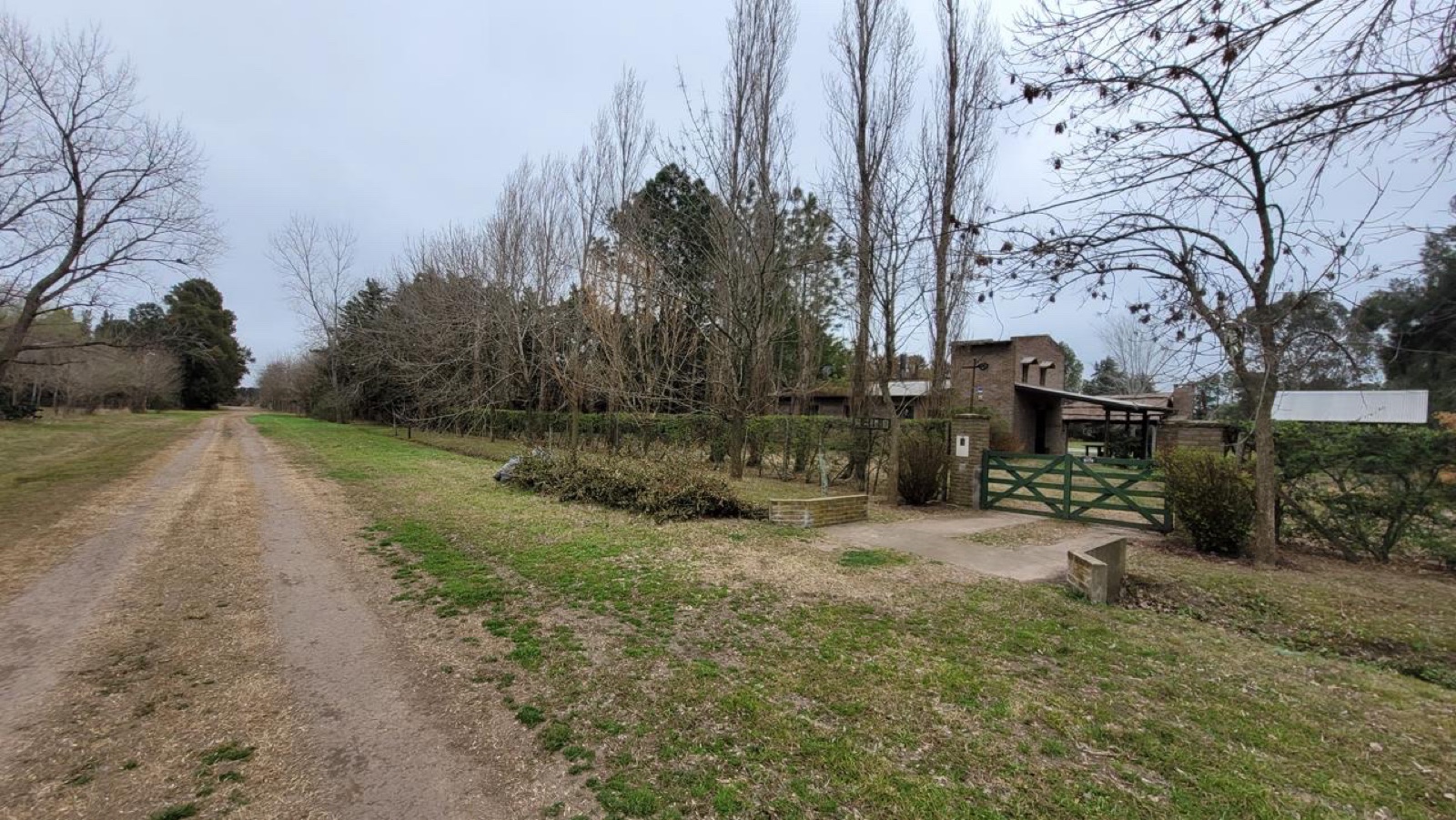 image 15