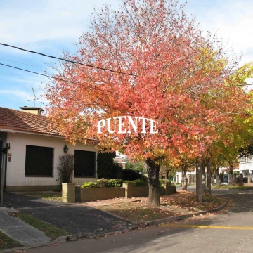 Casa en   Boja 202