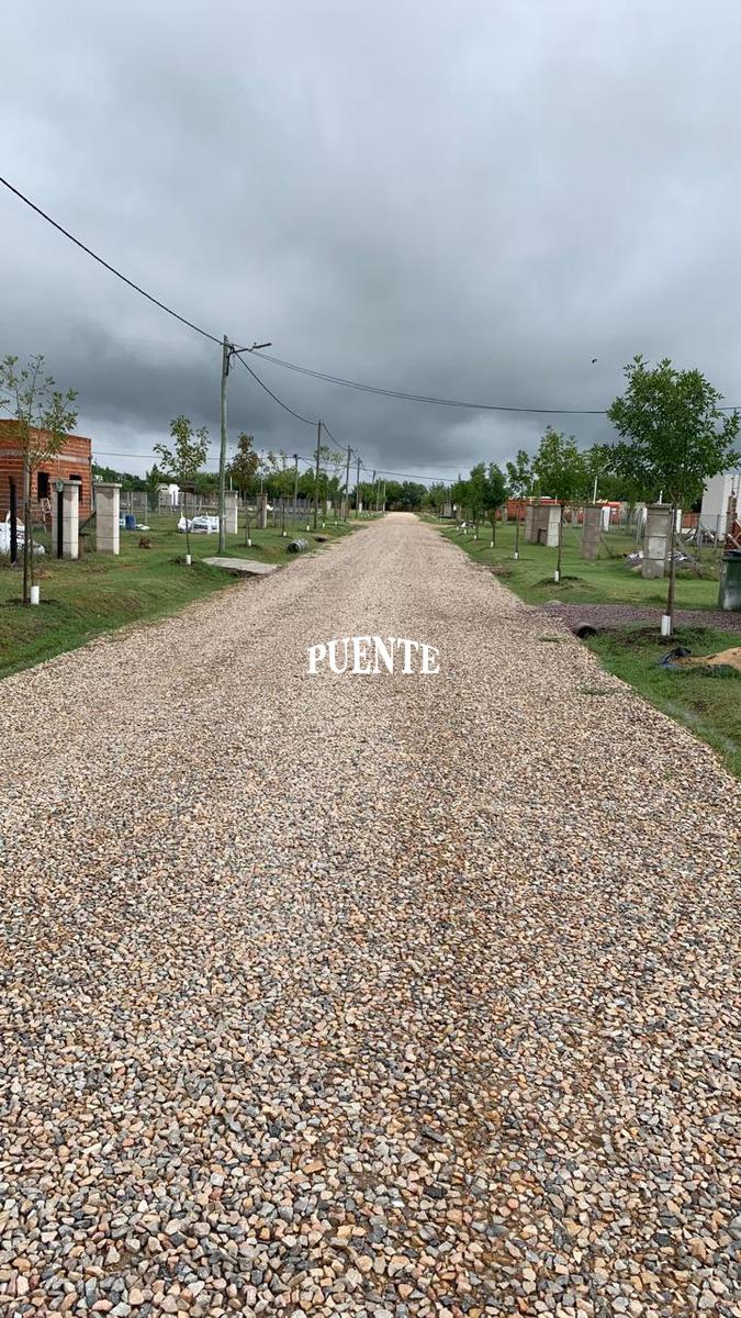 image 29