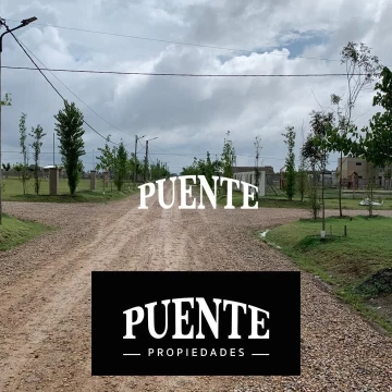 Estilo Campo 
