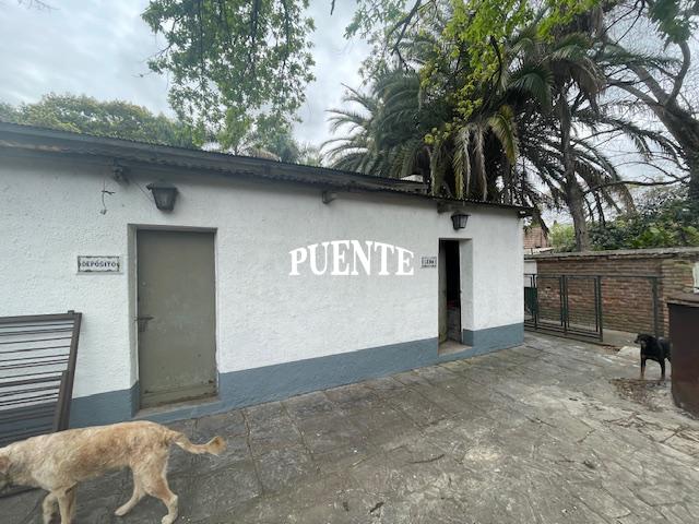 image 40