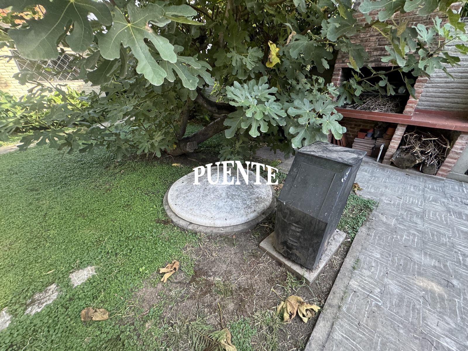 image 43