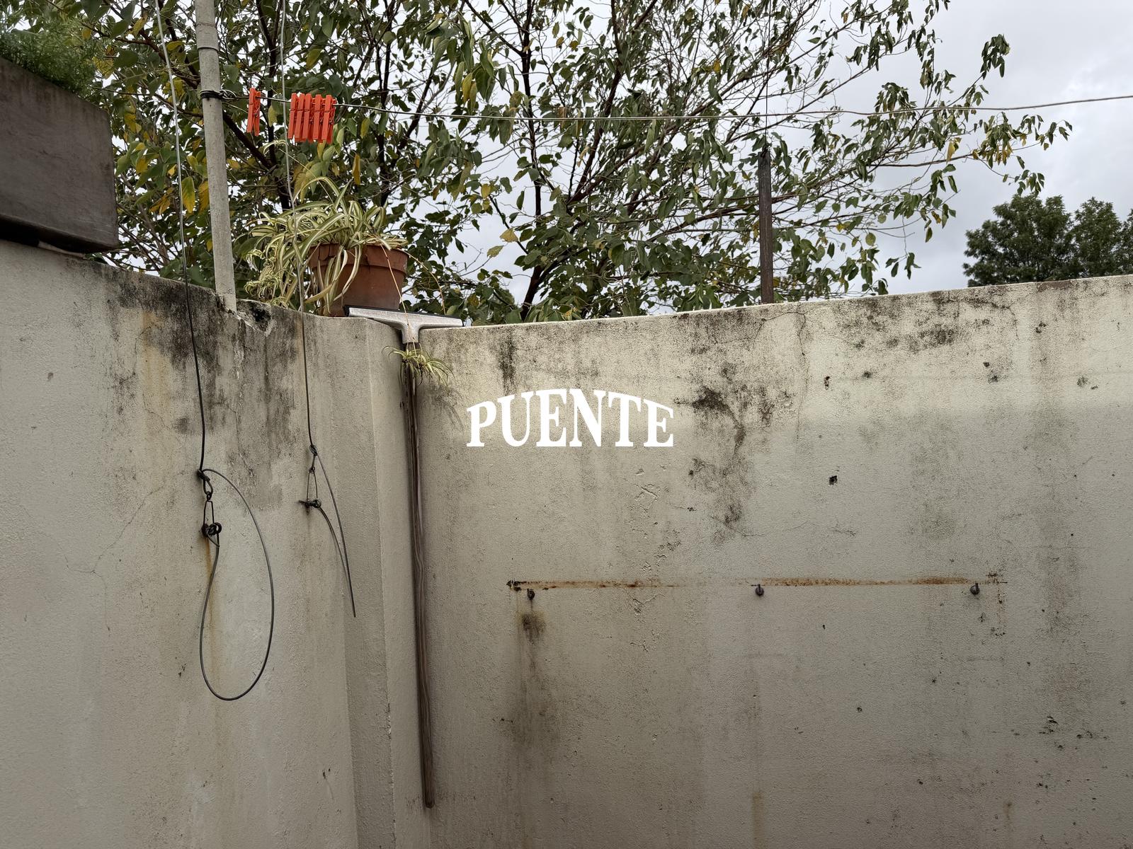 image 37