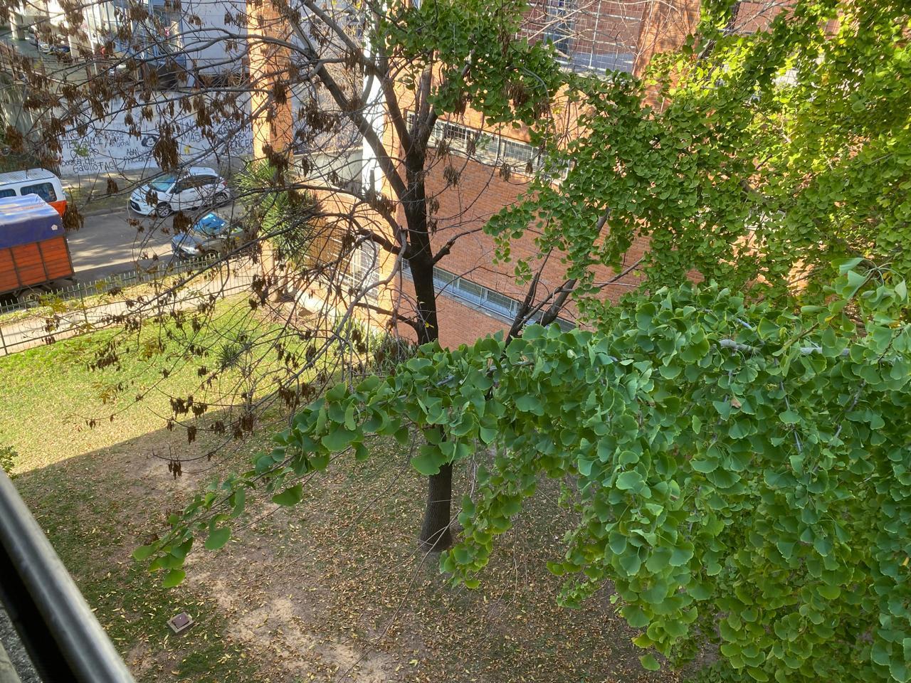 image 14