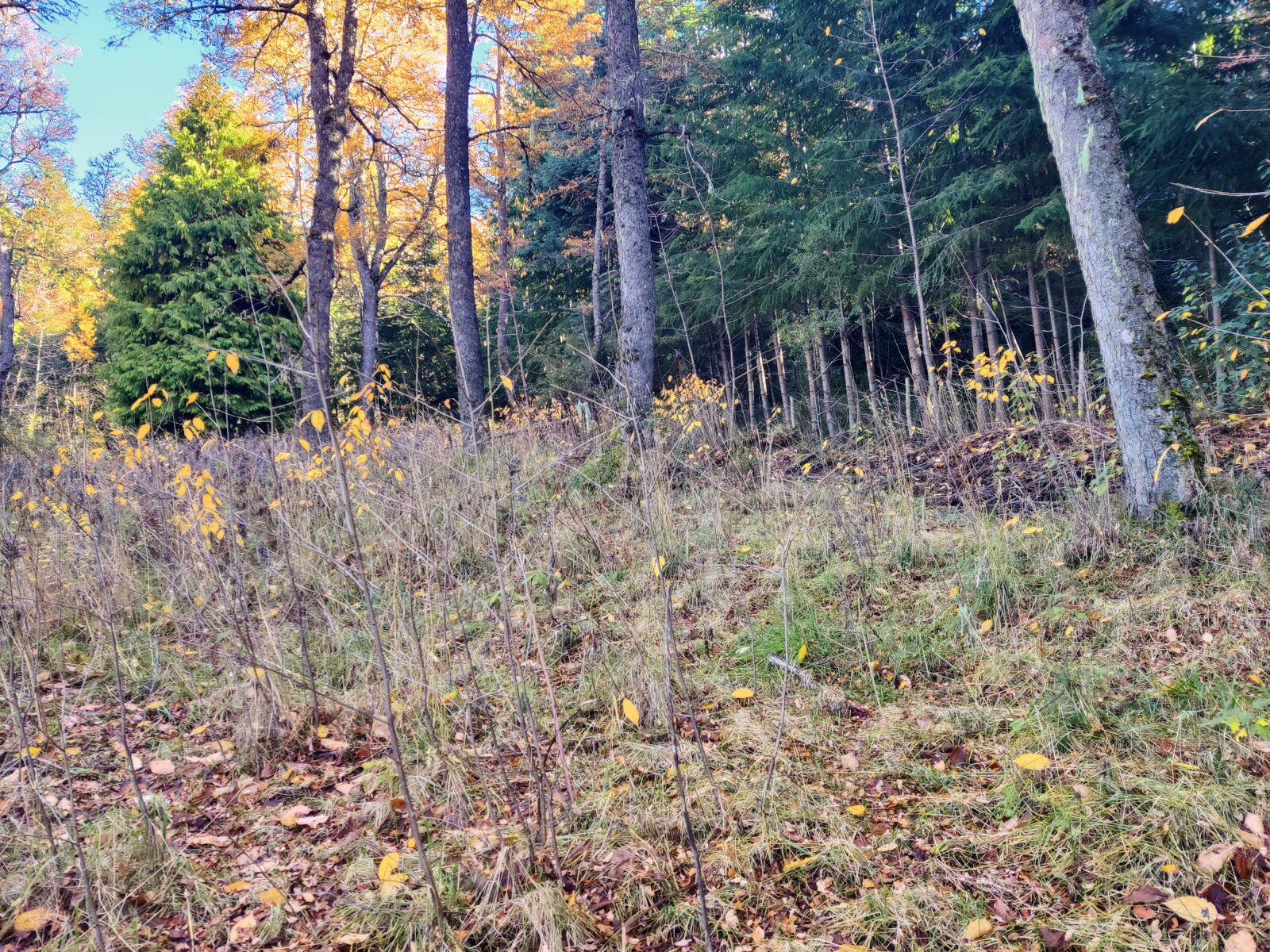 image 9