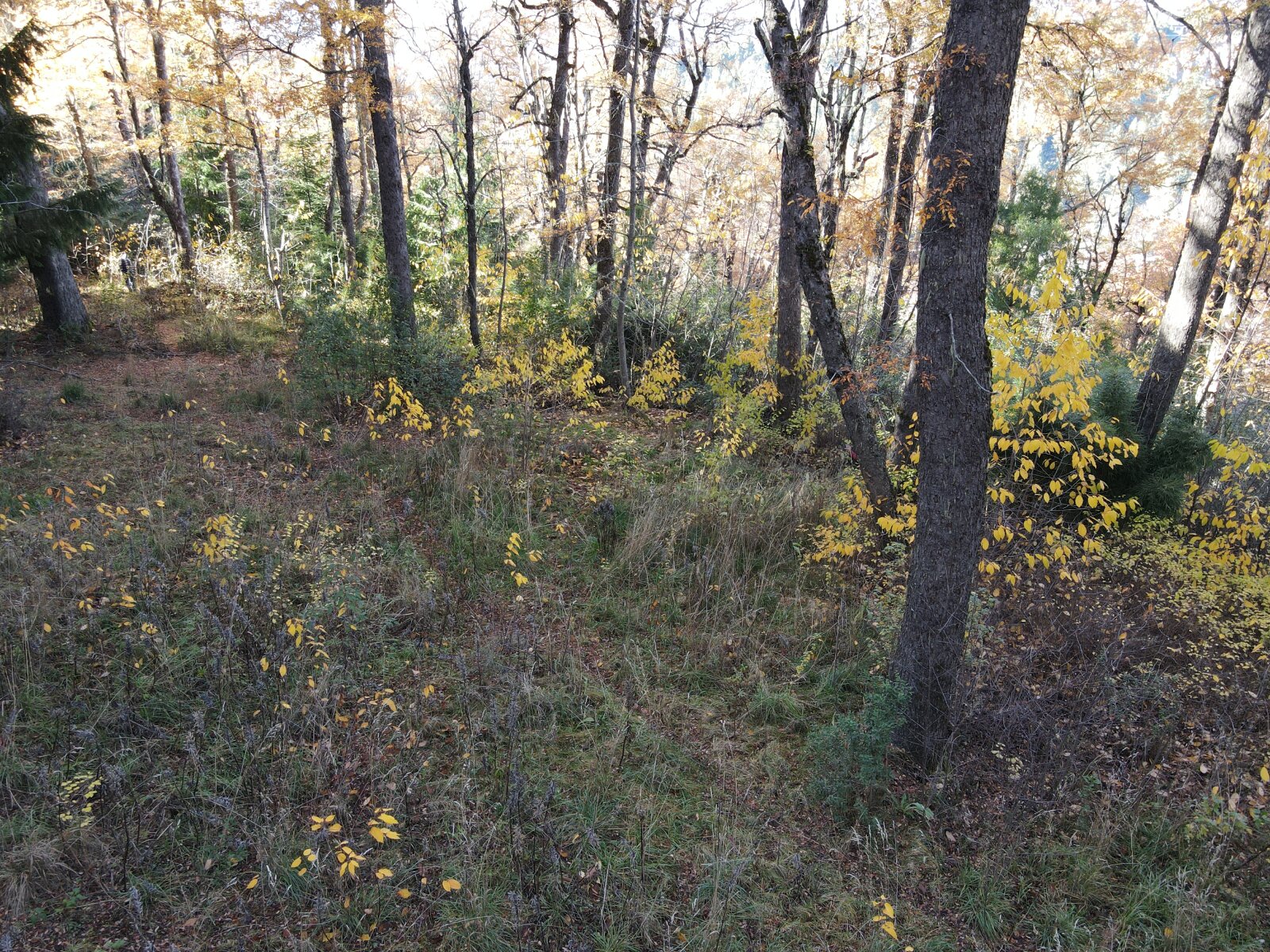 image 13