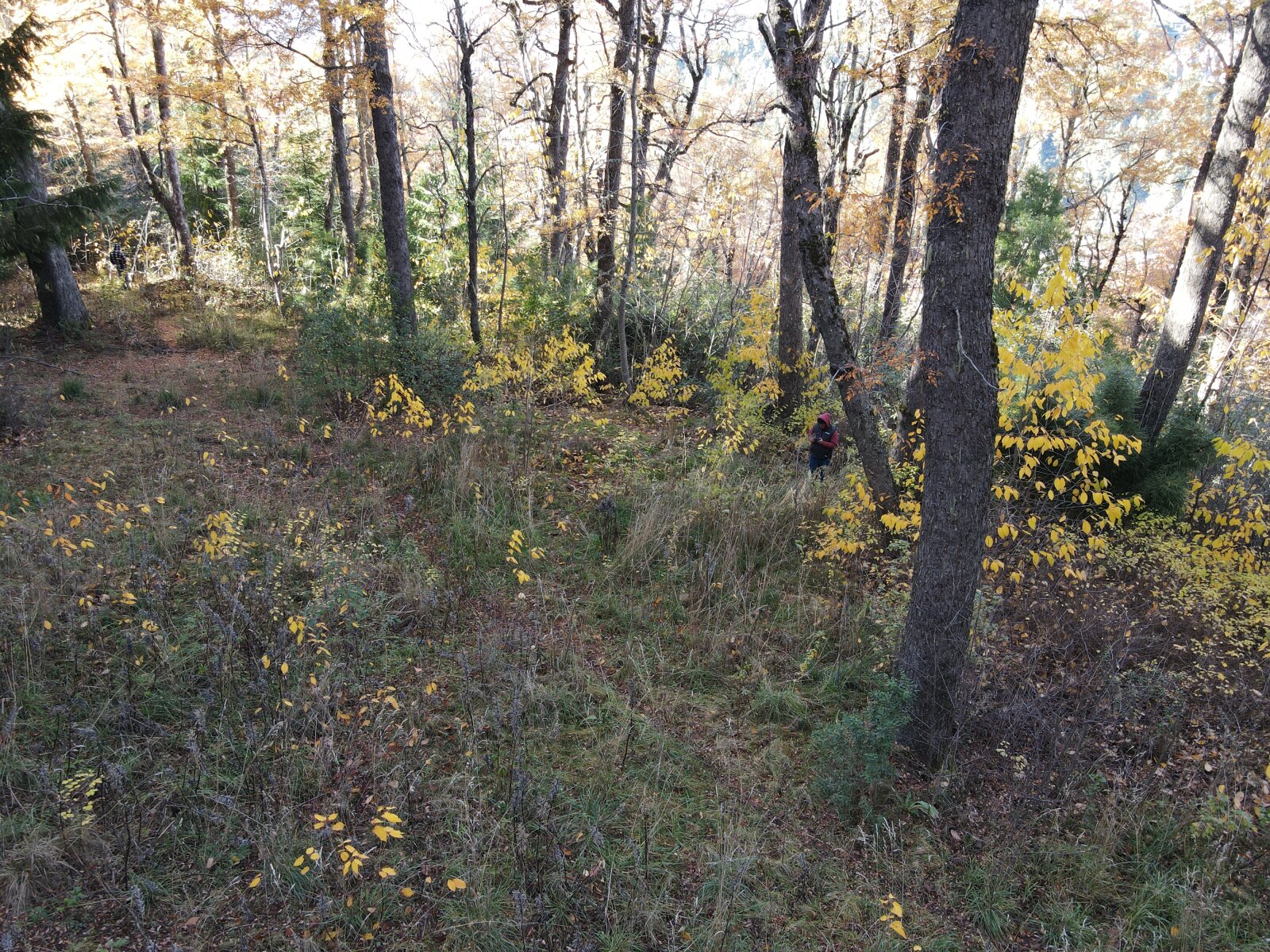 image 14