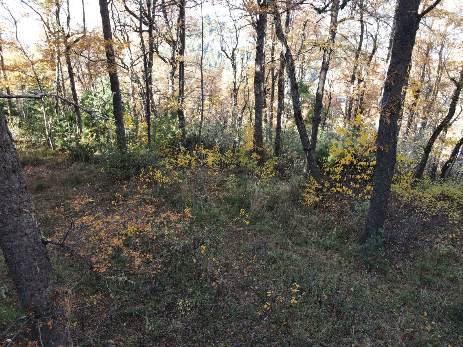 image 15
