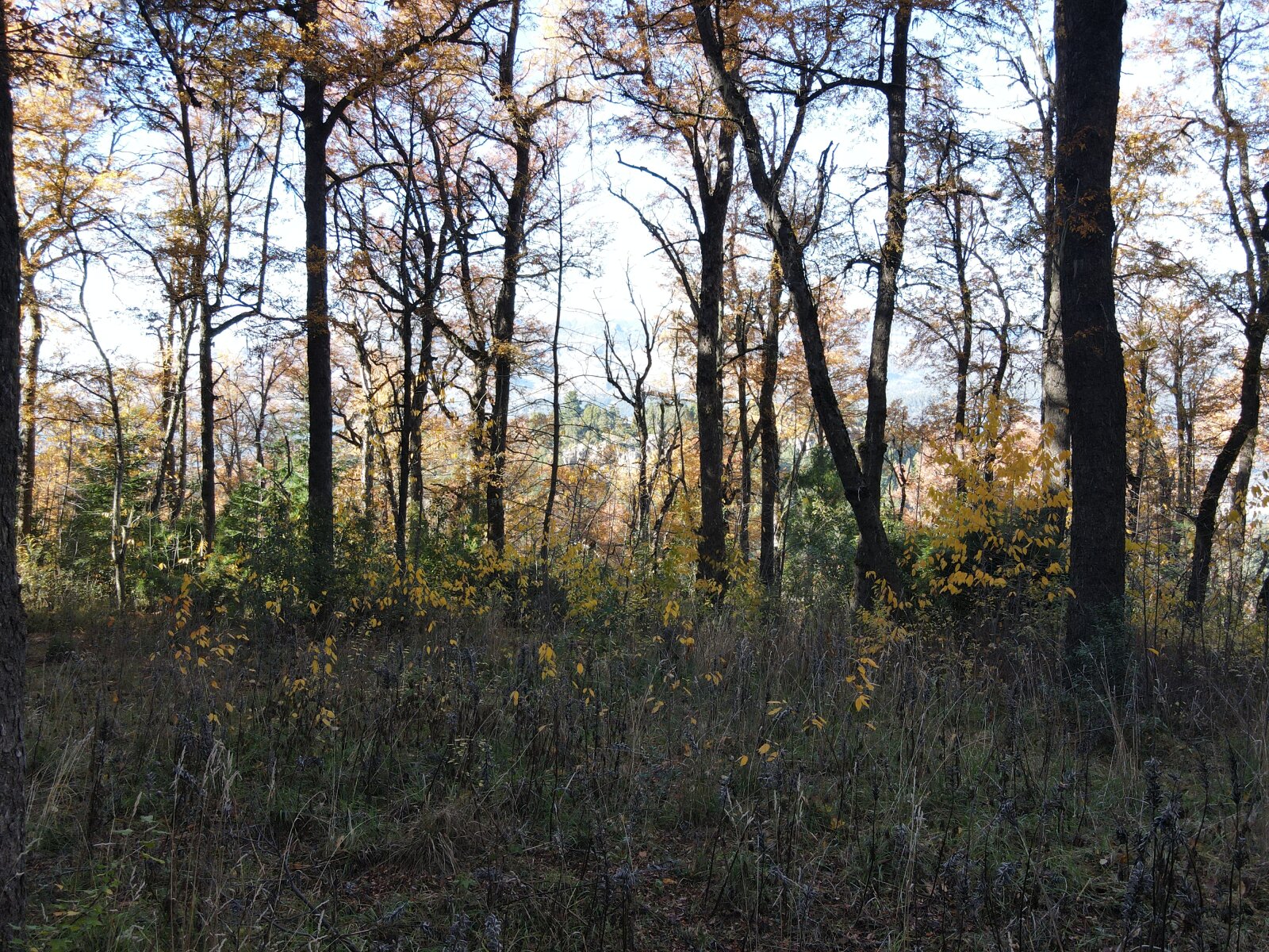 image 16
