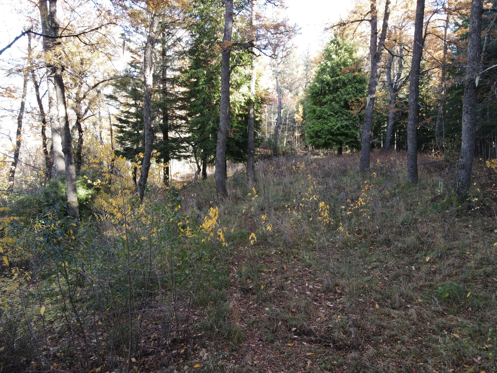 image 21