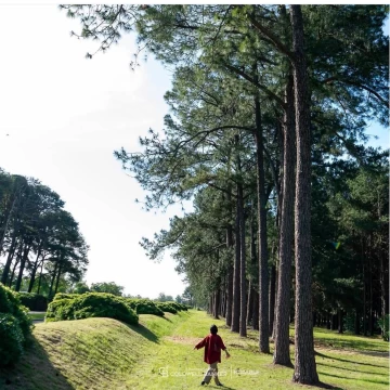 Lote Interno de 1771 m² en Pinares Golf – Excelente Ubicación y Listo para Construir
