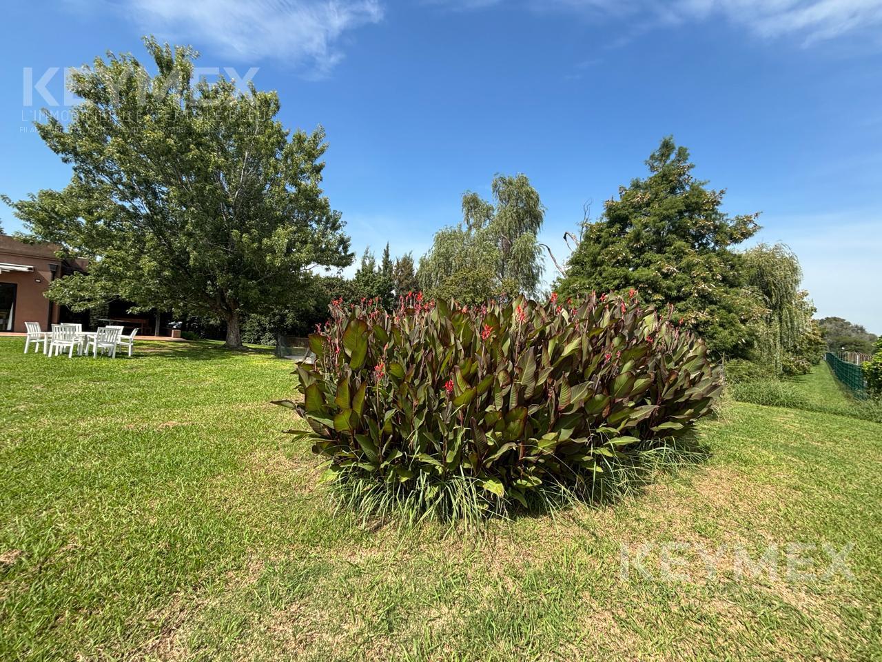 image 30