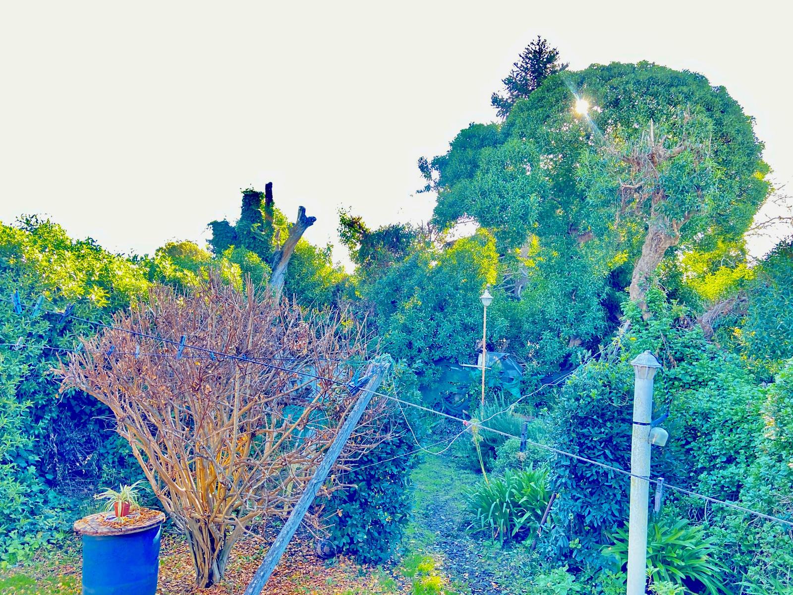 image 13