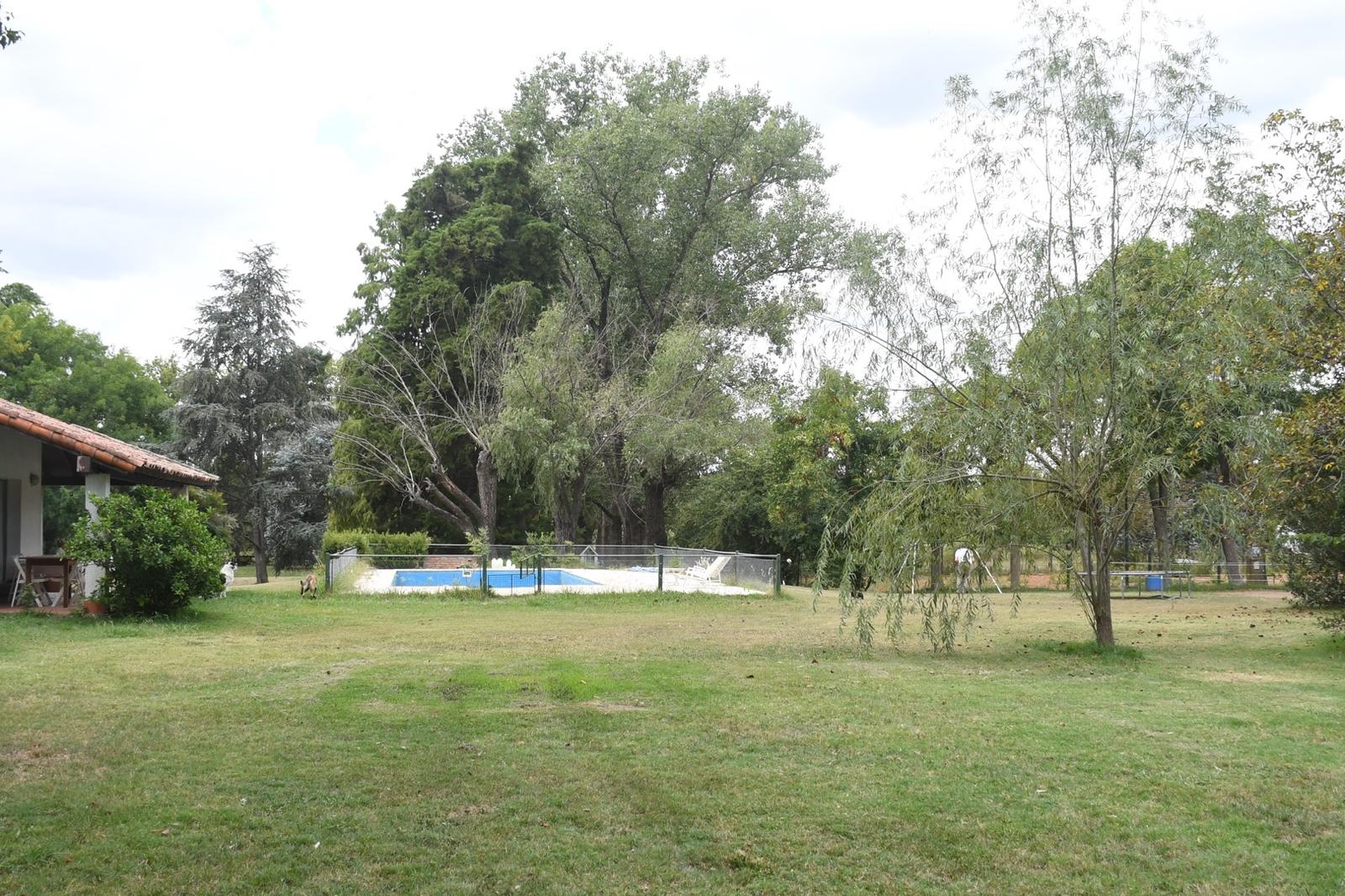 image 23
