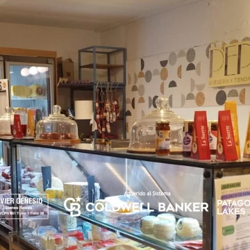 VENTA Fondo de Comercio Quesería y Tienda de Alimentos Centro Villa La Angostura