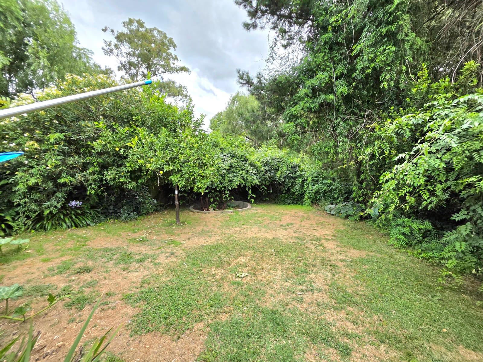image 28